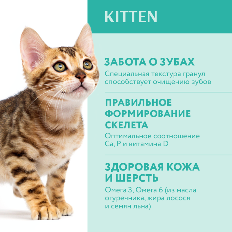 OptiMeal (ОптиМил) Kitten Chicken – Сухой корм с курицей для котят (700 г) в E-ZOO