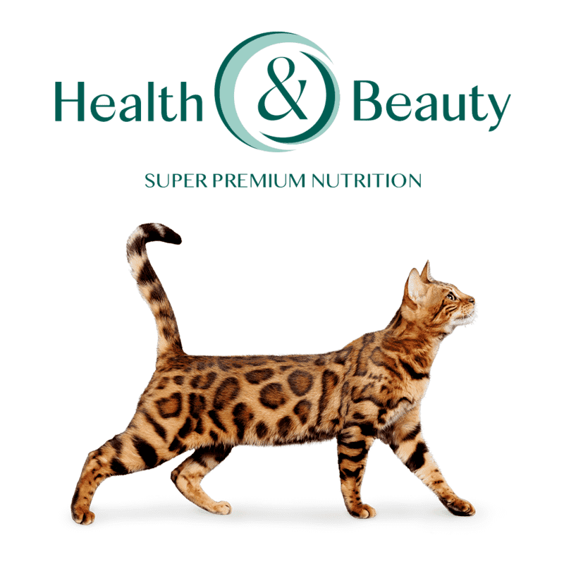 OptiMeal (ОптиМил) Sterilized Cat Beef & Sorghum – Сухой корм с высоким содержанием говядины и сорго для взрослых котов (4 кг) в E-ZOO