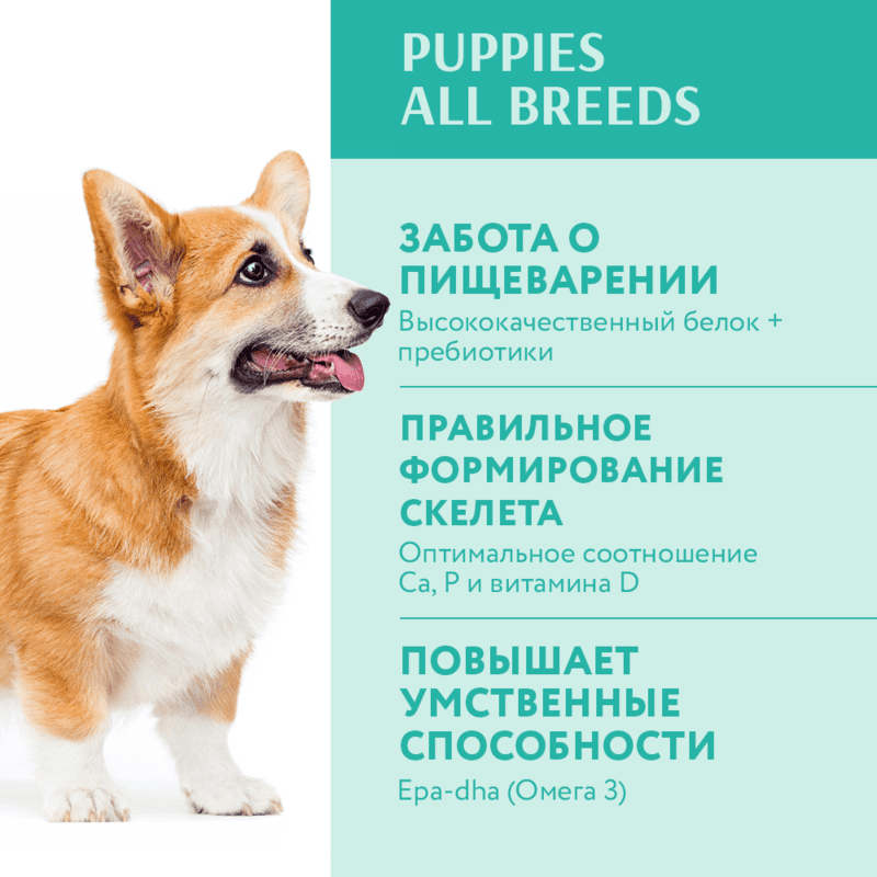 OptiMeal (ОптиМил) Puppies All Breeds Turkey – Сухой корм с индейкой для щенков различных пород (4 кг) в E-ZOO