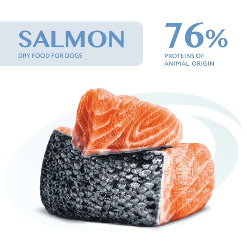 OptiMeal (ОптиМил) Adult Medium & Large Breed Hypoallergenic Salmon - Гипоалергенный сухой корм с лососем для взрослых собак средних и больших пород (12 кг) в E-ZOO