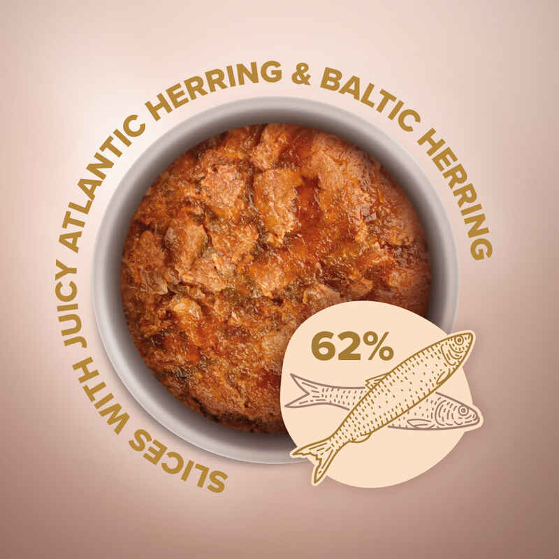 Club 4 Paws (Клуб 4 Лапы) Premium Selection Cat Slices Atlantic & Baltic Herring in Jelly - Влажный корм с сельдью и салакой для взрослых котов (слайсы в желе) (80 г) в E-ZOO