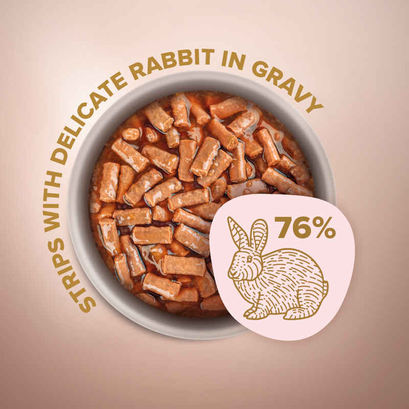 Club 4 Paws (Клуб 4 Лапы) Premium Selection Cat Strips Rabbit in Gravy - Влажный корм с кроликом для котов (полоски в соусе) (85 г) в E-ZOO
