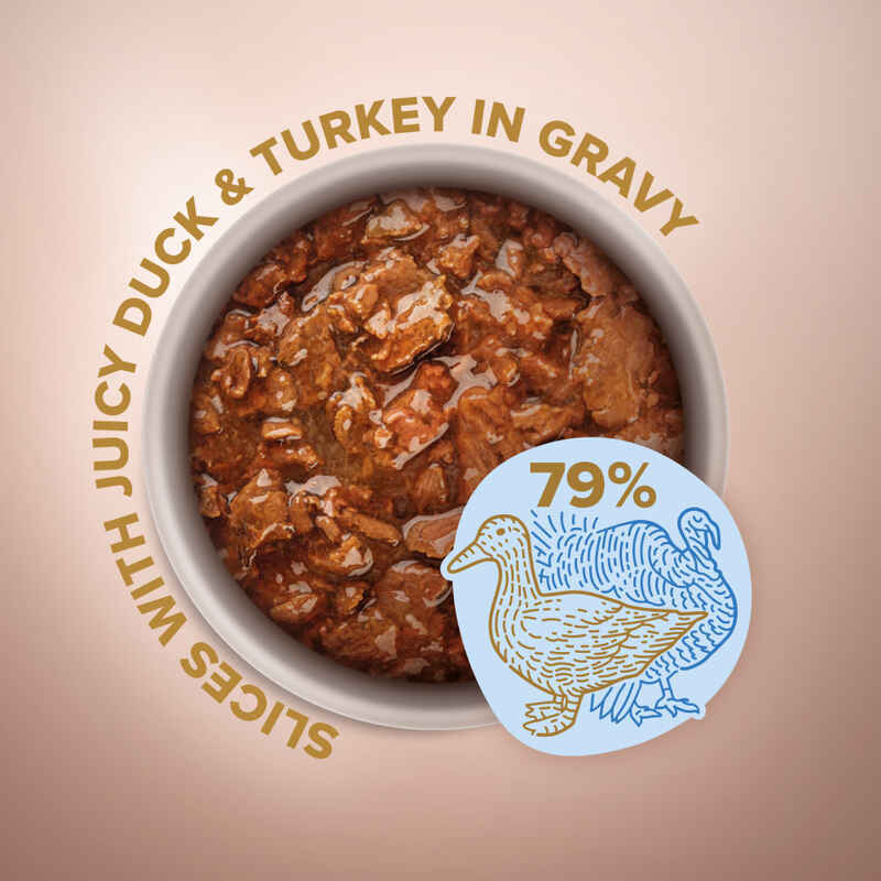 Club 4 Paws (Клуб 4 Лапы) Premium Selection Slices Dog Duck & Turkey in Gravy - Влажный корм с уткой и индейкой для собак малых пород (слайсы в соусе) (85 г) в E-ZOO