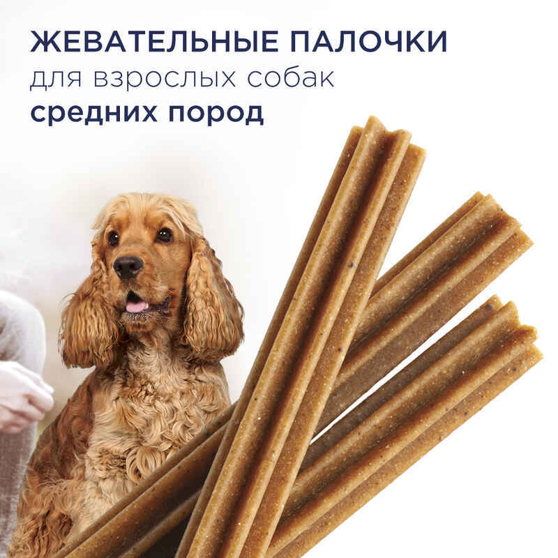 Club 4 Paws (Клуб 4 Лапы) Premium Dental Sticks - Жевательные палочки для взрослых собак средних пород (77 г) в E-ZOO