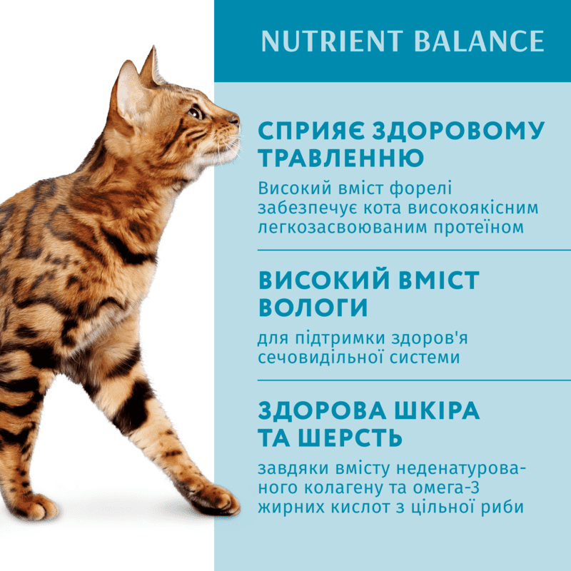 OptiMeal (ОптіМіл) Adult Cats Trout in Cream Sauce - Консервований корм із фореллю для дорослих котів (шматочки в кремовому соусі) (85 г) в E-ZOO