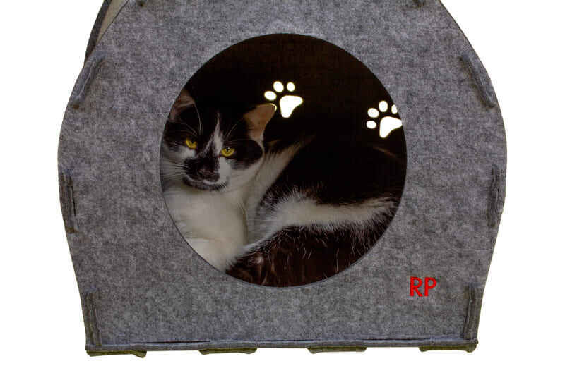 Red Point (Ред Поінт) Pet House - Повстяний будиночок-лежак для собак малих порід і котів (47х43х43 см) в E-ZOO
