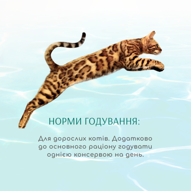 OptiMeal (ОптіМіл) Beauty Fitness Adult Cat - Консервований корм із морепродуктами для дорослих котів (шматочки у соусі) (70 г) в E-ZOO