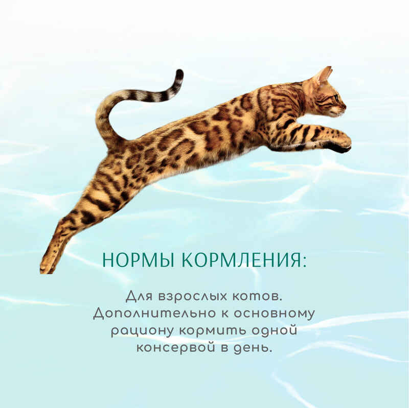 OptiMeal (ОптиМил) Beauty Fitness Adult Cat - Консервированный корм с морепродуктами для взрослых котов (кусочки в соусе) (70 г) в E-ZOO