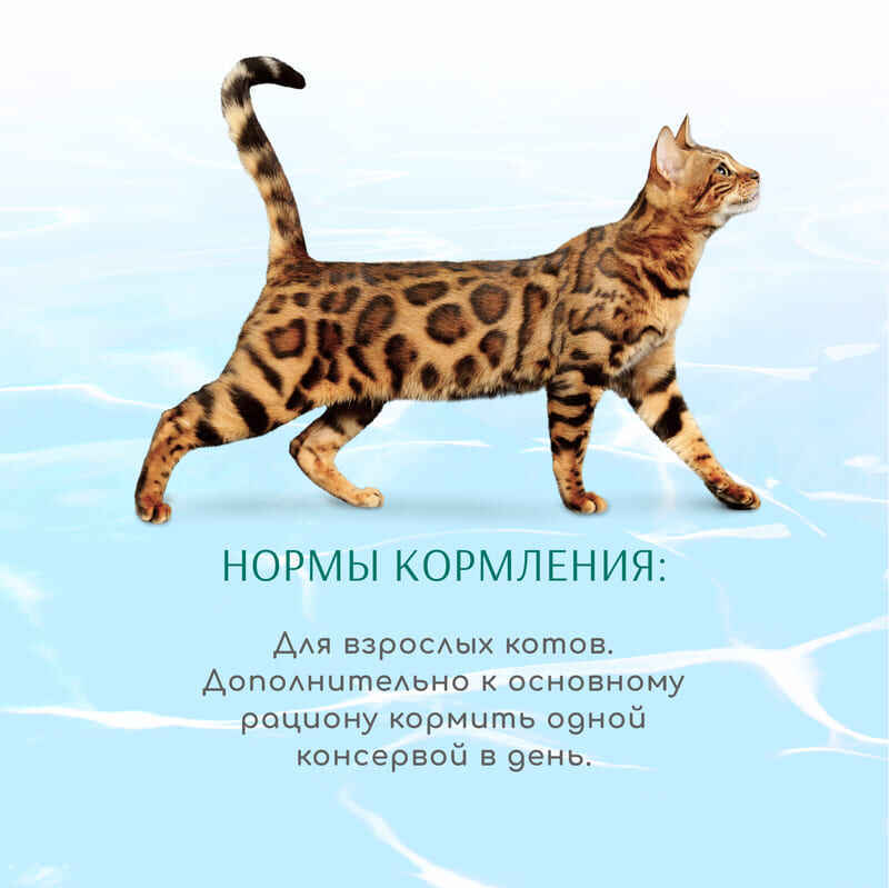 OptiMeal (ОптиМил) Beauty Podium Adult Cat - Консервированный корм с морепродуктами для взрослых котов (кусочки в желе) (70 г) в E-ZOO