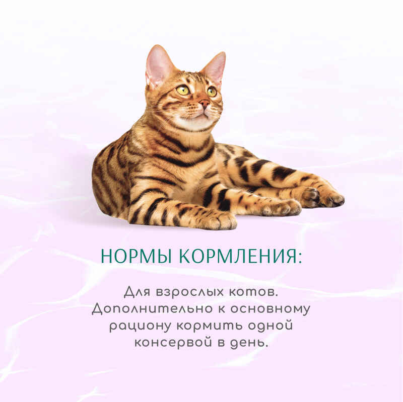 OptiMeal (ОптиМил) Beauty Harmony Adult Cat - Консервированный корм с морепродуктами для взрослых котов (кусочки в соусе) (70 г) в E-ZOO