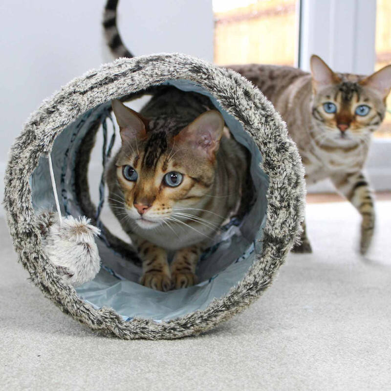 AFP (ЭйЭфПи) Vintage Cat Tunnel - Игровой туннель Винтаж для котов (43х26 см) в E-ZOO