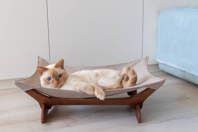 PetJoy (ПетДжой) Лежак-гамак для кошек из дерева (55х45х18 см) в E-ZOO