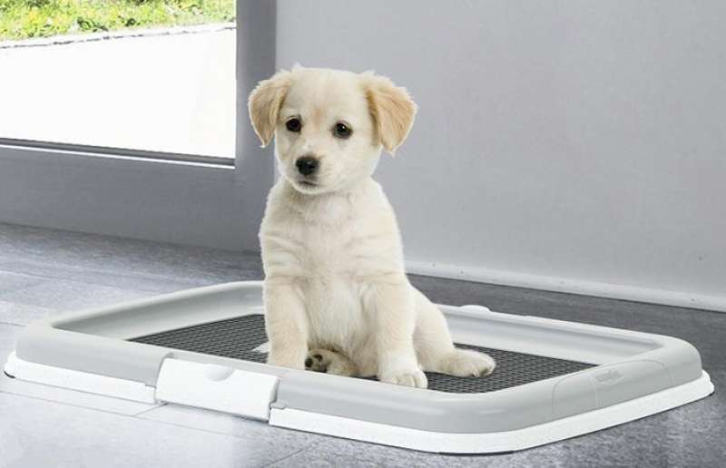 Stefanplast (Стефанпласт) Puppy Training - Туалет со столбиком для щенков и мелких пород собак - Фото 2