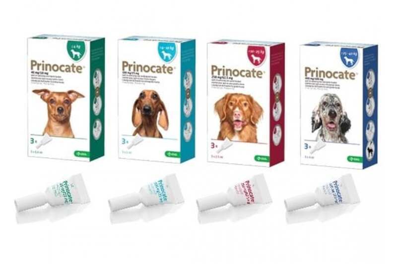 KRKA (КРКА) Prinocate Dog - Протипаразитарні краплі Прінокат на холку від бліх, кліщів і гельмінтів для собак (1 піпетка) (< 4 кг) в E-ZOO