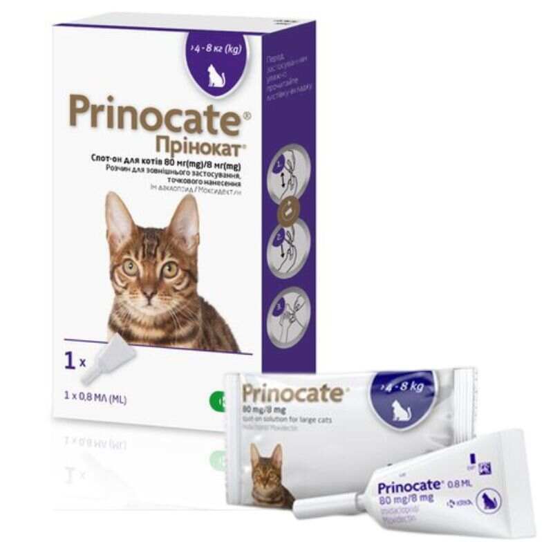 KRKA (КРКА) Prinocate Cat - Противопаразитарные капли Принокат на холку от блох, клещей и гельминтов для котов и хорьков (1 пипетка) (4-8 кг) в E-ZOO