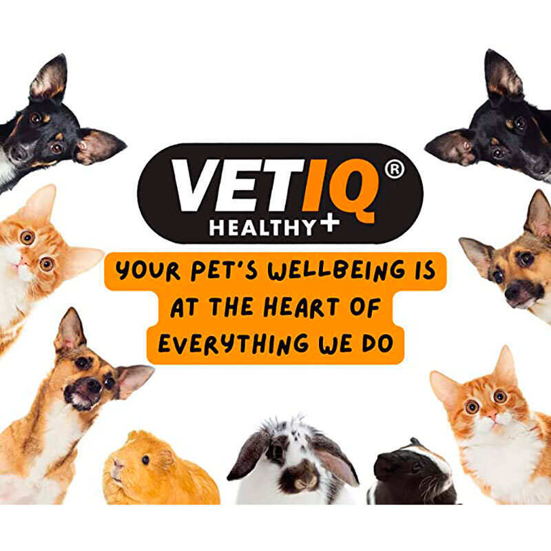 VetIQ Healthy Treats Intestinal Aid For Puppies - Лакомства для улучшения пищеварения с птицей и водорослями для щенков (50 г) в E-ZOO
