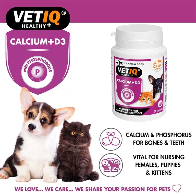 VetIQ Kalsium Plus Cats & Dogs - Витаминный комплекс с кальцием и витамином D3 для собак и кошек (60 шт.) в E-ZOO