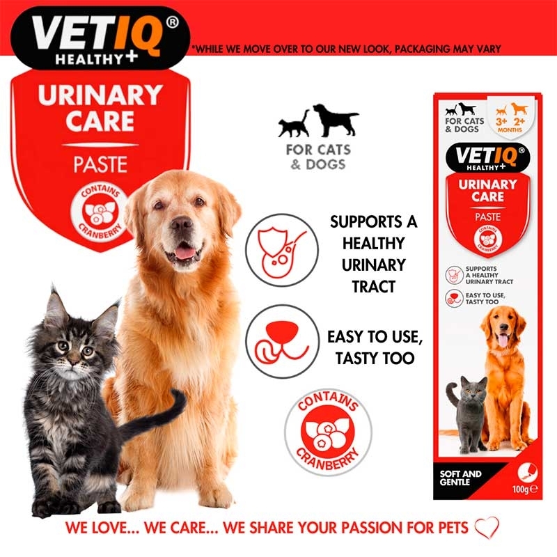 VetIQ Urinary Care Paste Cats & Dogs - Паста для підтримки здоров'я сечовивідних шляхів у котів та собак (100 г) в E-ZOO