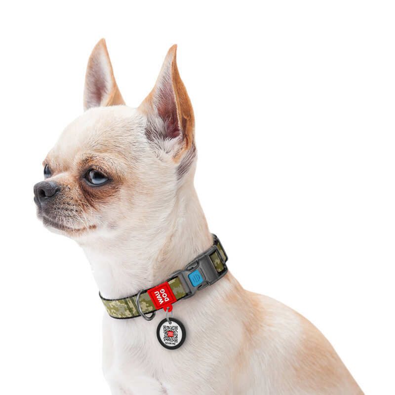 Collar (Коллар) WAUDOG Nylon - Нашийник для собак з малюнком "Мілітарі", QR паспортом та пластиковою пряжкою-фастекс, нейлоновий (1,5х23-35 см) в E-ZOO