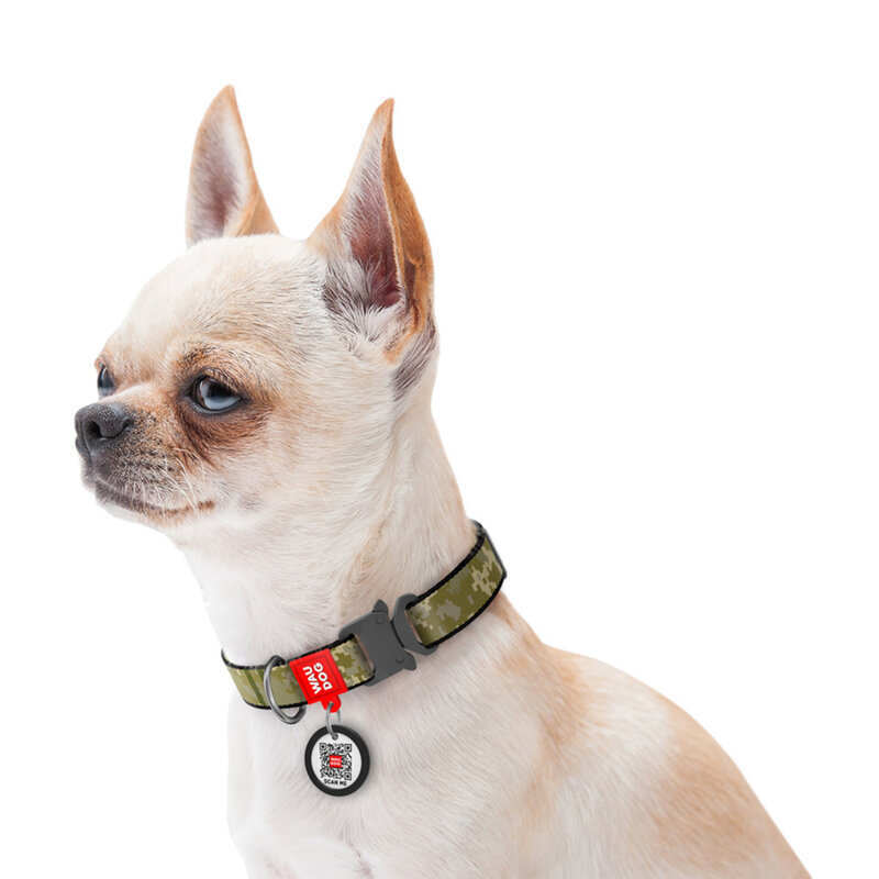 Collar (Коллар) WAUDOG Nylon - Ошейник для собак с рисунком "Милитари", QR паспортом и металлической пряжкой-фастекс, нейлоновый (1,5х23-35 см) в E-ZOO