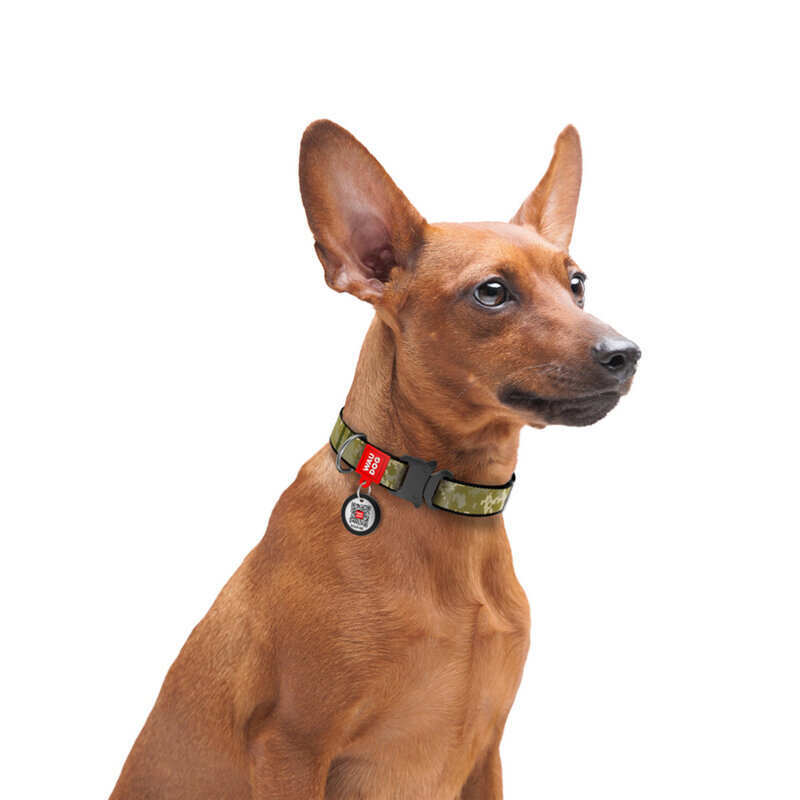 Collar (Коллар) WAUDOG Nylon - Нашийник для собак з малюнком "Мілітарі", QR паспортом та металевою пряжкою-фастекс, нейлоновий (1,5х23-35 см) в E-ZOO