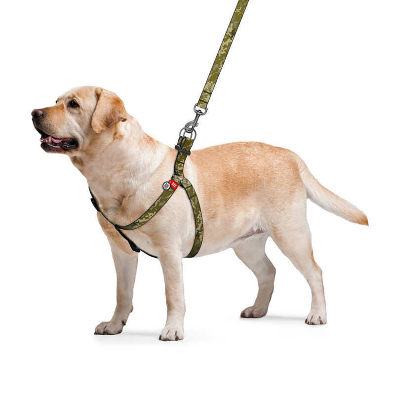 Collar (Коллар) WAUDOG Nylon - Шлея для собак c рисунком "Милитари" и QR паспортом, пластиковый фастекс (2,5х60-90 см) в E-ZOO