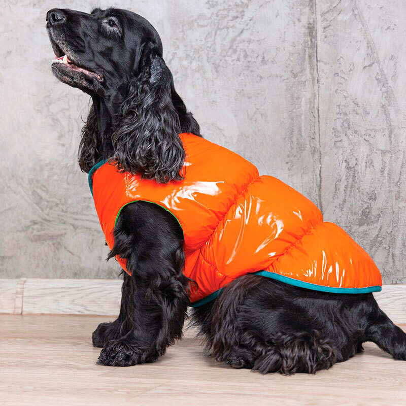 Pet Fashion (Пет Фешн) - Жилетка Спринг для собак (помаранч) (XS) в E-ZOO