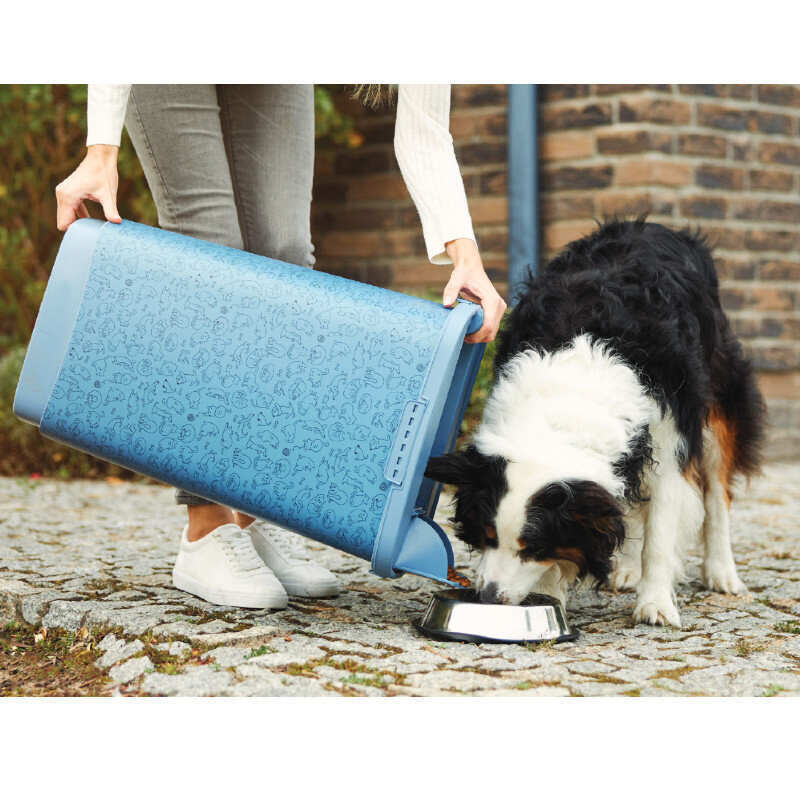 Rotho MyPet (Рото МайПет) Food Box Cody - Контейнер для хранения сухого корма котов и собак (голубой) (25 л + Scoop) в E-ZOO