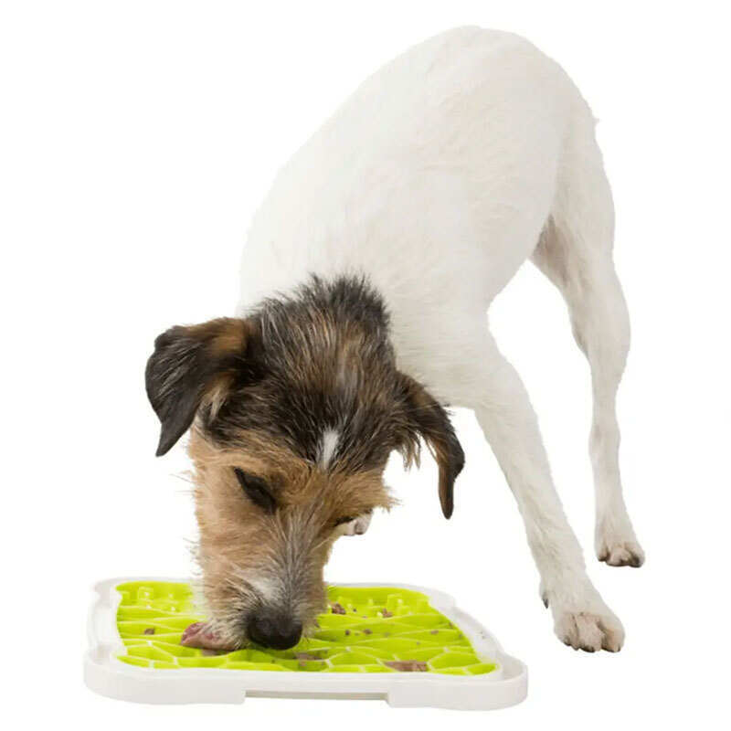 Trixie (Трікси) Lick and Snack – Миска-килимок для повільного годування собак та котів (20х20 см) в E-ZOO