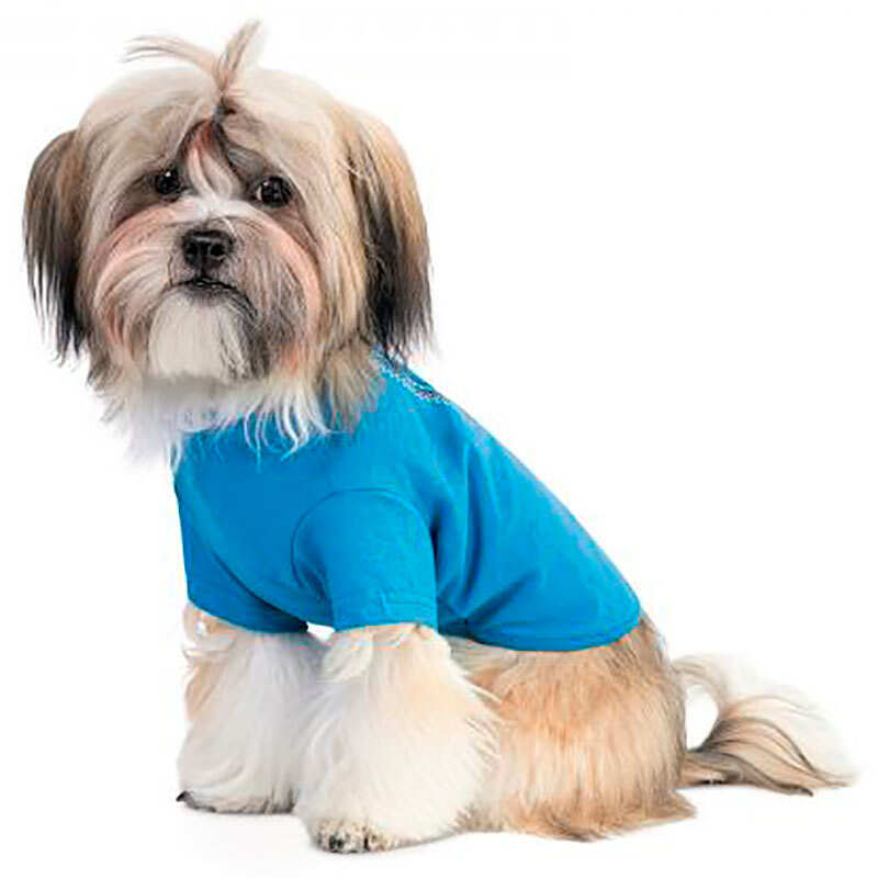 Pet Fashion (Пет Фешн) Ivanko - Футболка Іванко для собак (блакитна) (M2 (32-34 см)) в E-ZOO