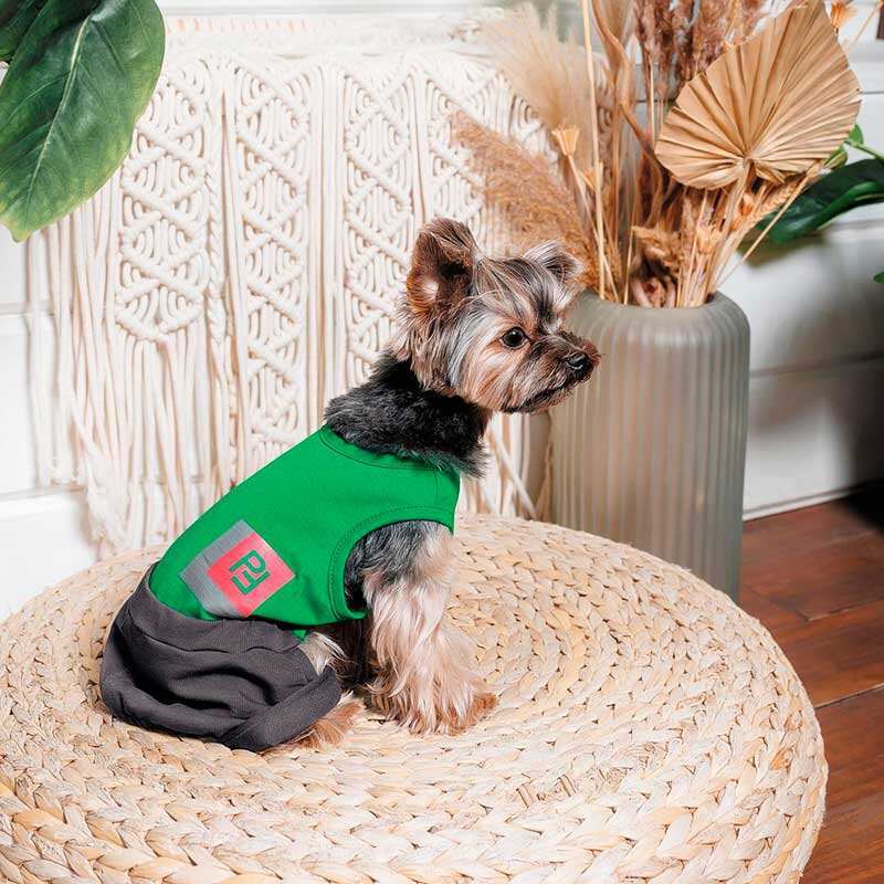 Pet Fashion (Пет Фешн) Aleks - Костюм Алекс для собак (зелений/чорний) (M (34-36 см)) в E-ZOO