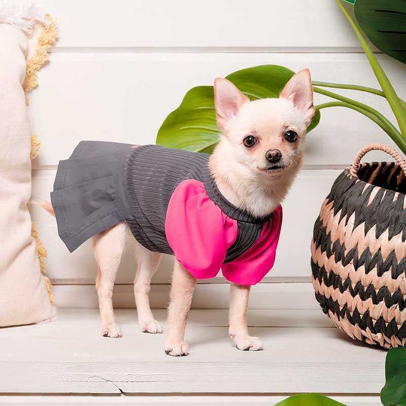 Pet Fashion (Пет Фешн) Classic - Платье Классик для собак (серо-розовое) (M (34-36 см)) в E-ZOO