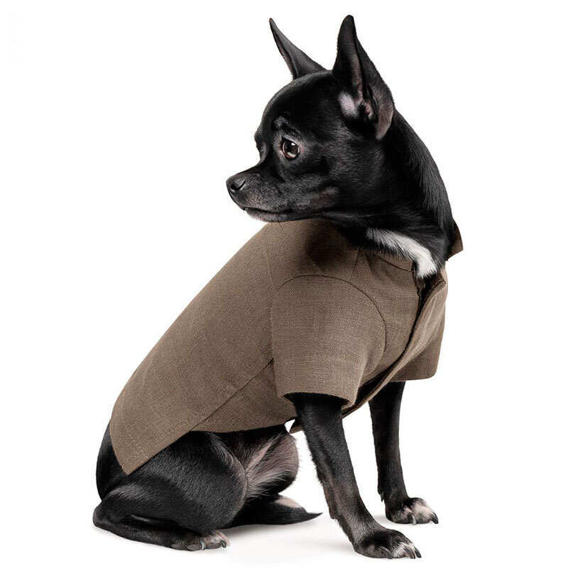 Pet Fashion (Пет Фешн) Marco - Вышиванка Марко для собак (коричневая) (S (27-29 см)) в E-ZOO