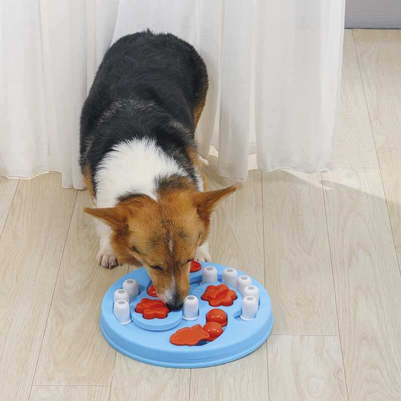 M-Pets (М-Петс) BRAINY GAMES Einstein - Развивающая игра Эйнштейн для собак (29.5x29.5x5 см) в E-ZOO