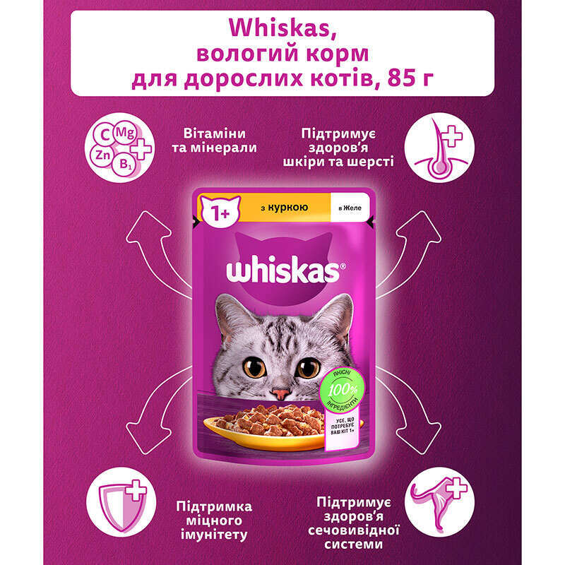 Whiskas (Вискас) - Влажный корм курица в желе для взрослых котов (85 г) в E-ZOO