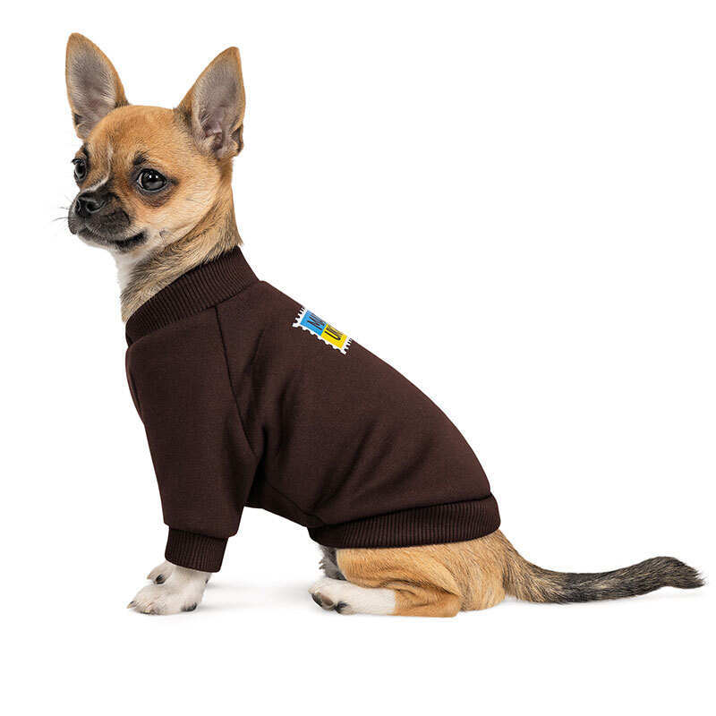 Pet Fashion (Пет Фешн) Made in Ukraine - Толстовка для собак Made in Ukraine (коричневая) (XS (25х16,5 см)) в E-ZOO