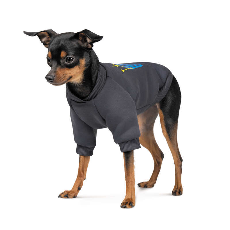 Оригинальный комбинезон для собак - Димон-Камон, одежда для собак