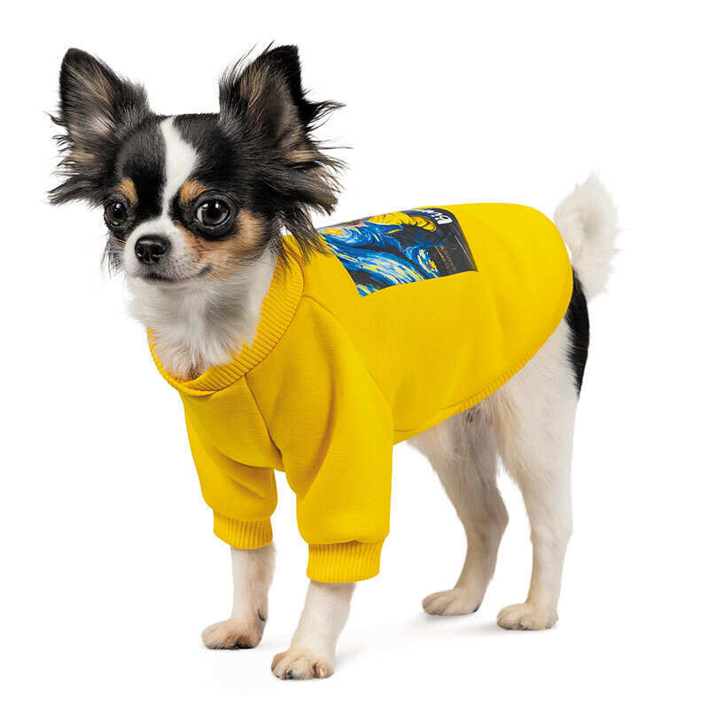 Pet Fashion (Пет Фешн) Вiльна - Толстовка для собак Вiльна (жёлтая) (M 40х25 см) в E-ZOO