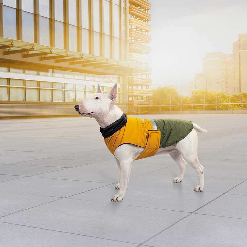 Pet Fashion (Пет Фешн) Roy - Попона для собак (хакі-гірчиця) (2XL (44-46 см)) в E-ZOO