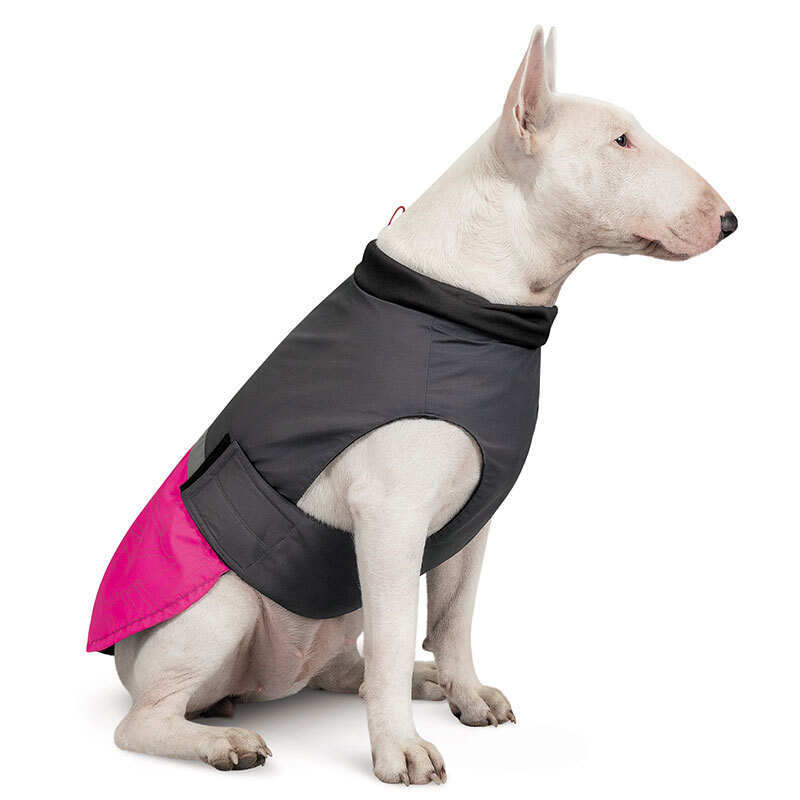Pet Fashion (Пет Фешн) Roy - Попона для собак (малиново-серый) (XL (41-43 см)) в E-ZOO