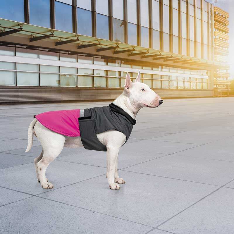 Pet Fashion (Пет Фешн) Roy - Попона для собак (малиново-серый) (XL (41-43 см)) в E-ZOO