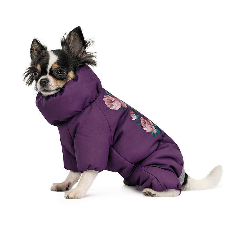 Pet Fashion (Пет Фешн) Lola - Костюм Лола для собак (фиолетовый) (S2 (28-30 см)) в E-ZOO