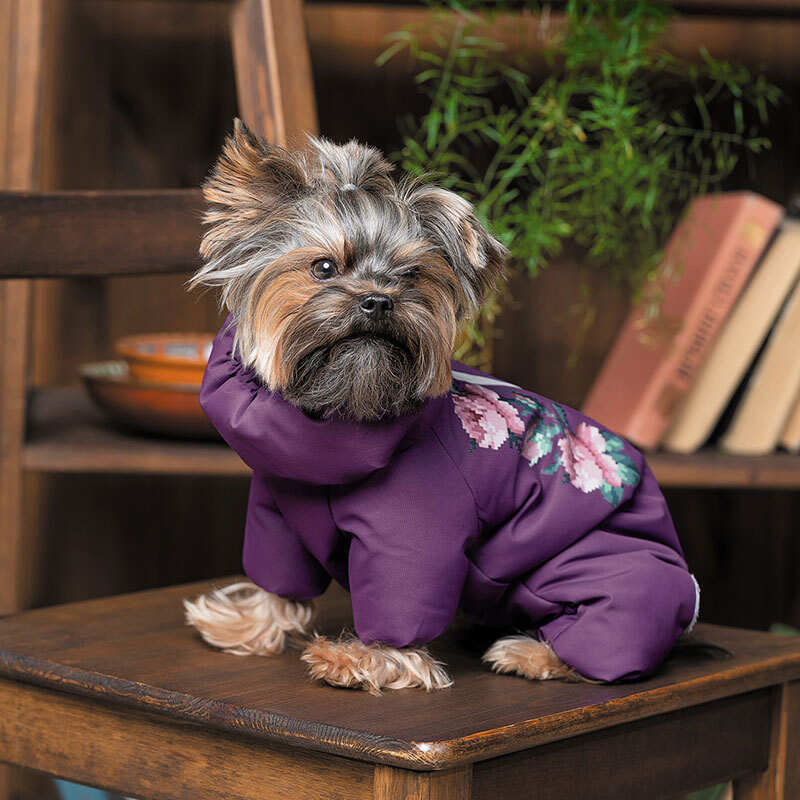 Pet Fashion (Пет Фешн) Lola - Костюм Лола для собак (фиолетовый) (S2 (28-30 см)) в E-ZOO