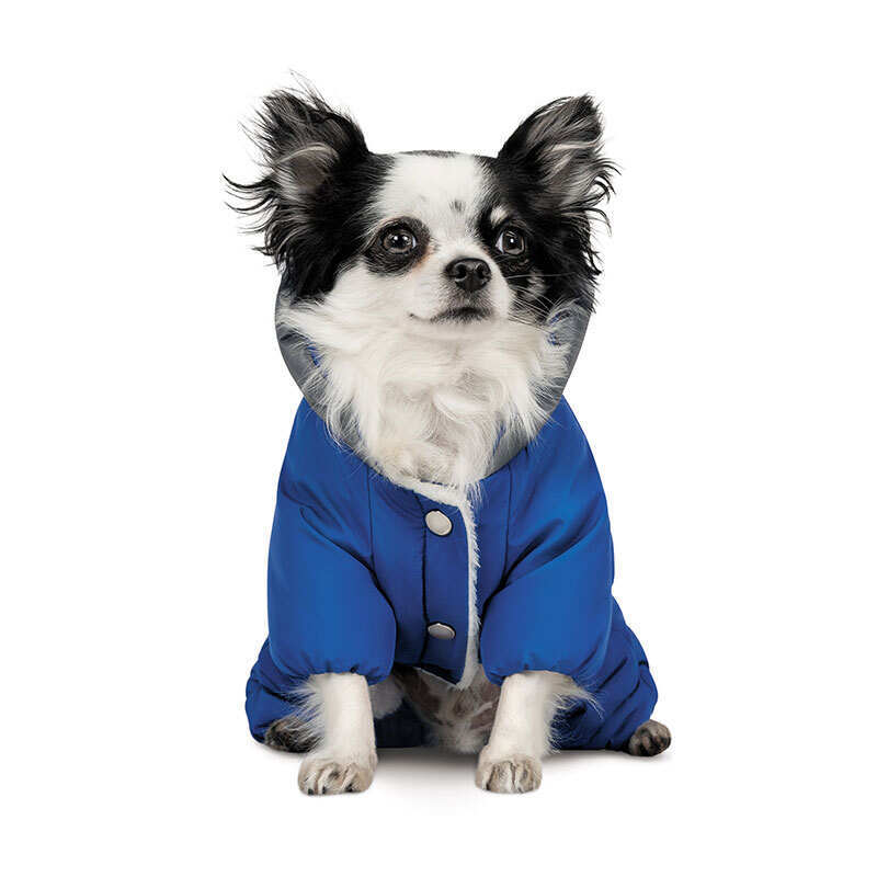 Pet Fashion (Пет Фешн) Zhan - Костюм Жан для собак (синій) (XS2 (26-28 см)) в E-ZOO