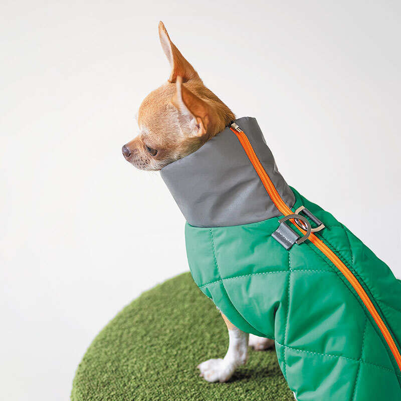 Pet Fashion (Пет Фешн) Luka - Жилет Лука для собак (зелёный) (XXS (20-22 см)) в E-ZOO