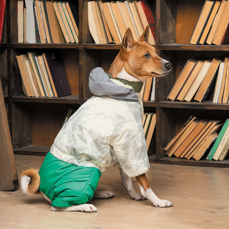 Pet Fashion (Пет Фешн) Man - Костюм Мэн для собак со светоотражающим контуром (XXS (20-22 см)) в E-ZOO