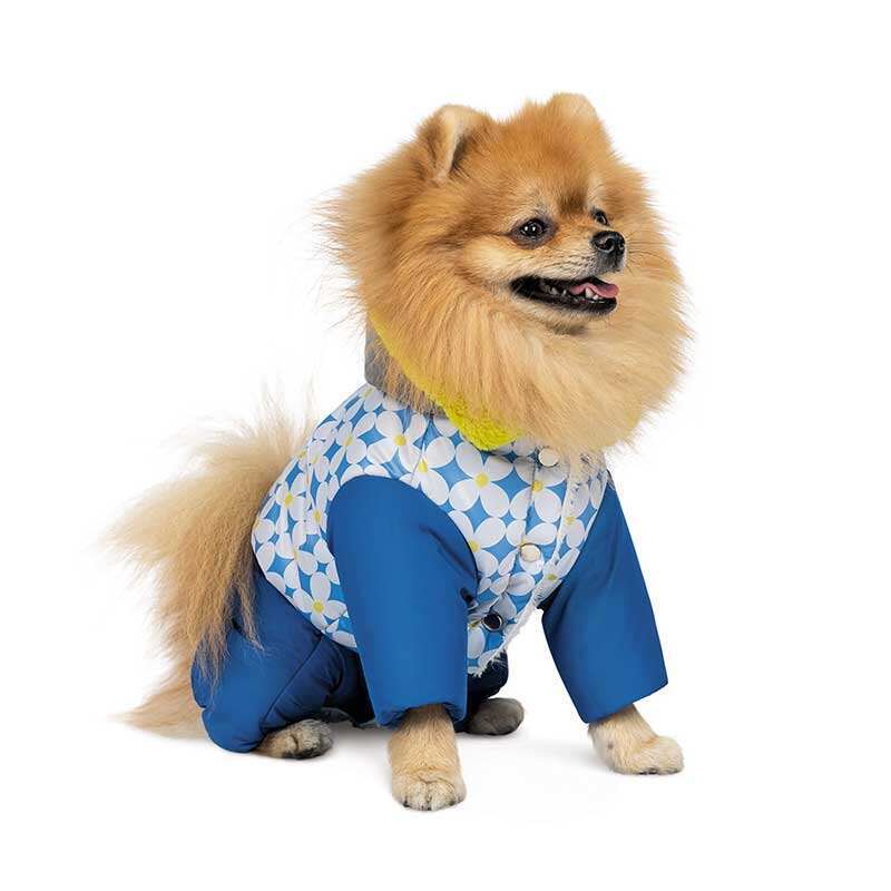Pet Fashion (Пет Фешн) Tender - Костюм Тендер для собак (синий) (M (34-36 см)) в E-ZOO