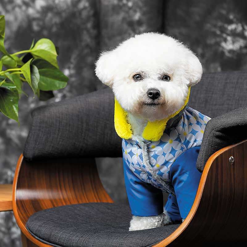 Pet Fashion (Пет Фешн) Tender - Костюм Тендер для собак (синій) (M (34-36 см)) в E-ZOO