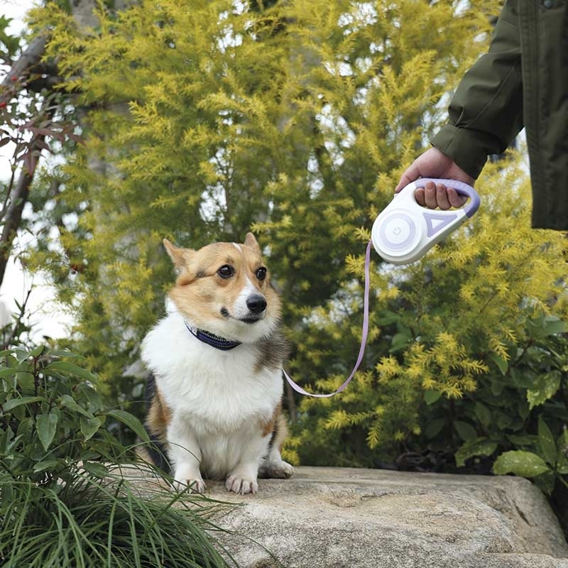 M-Pets (М-Петс) Flash Retractable Dog Leash - Поводок-рулетка с подстветкой для собак (5 м) в E-ZOO