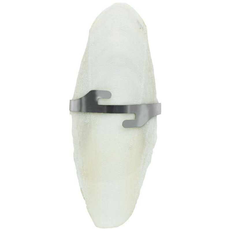 Bubimex (Бубімекс) Cuttle Fishbone with Holding Device - Кістка каракатиці з тримачем для папуг (26 г) в E-ZOO